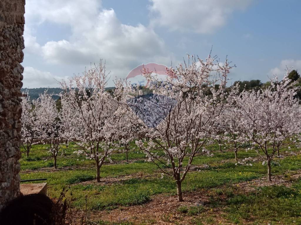 Terreno a Floridia in Contrada Case Nuove - Foto 4