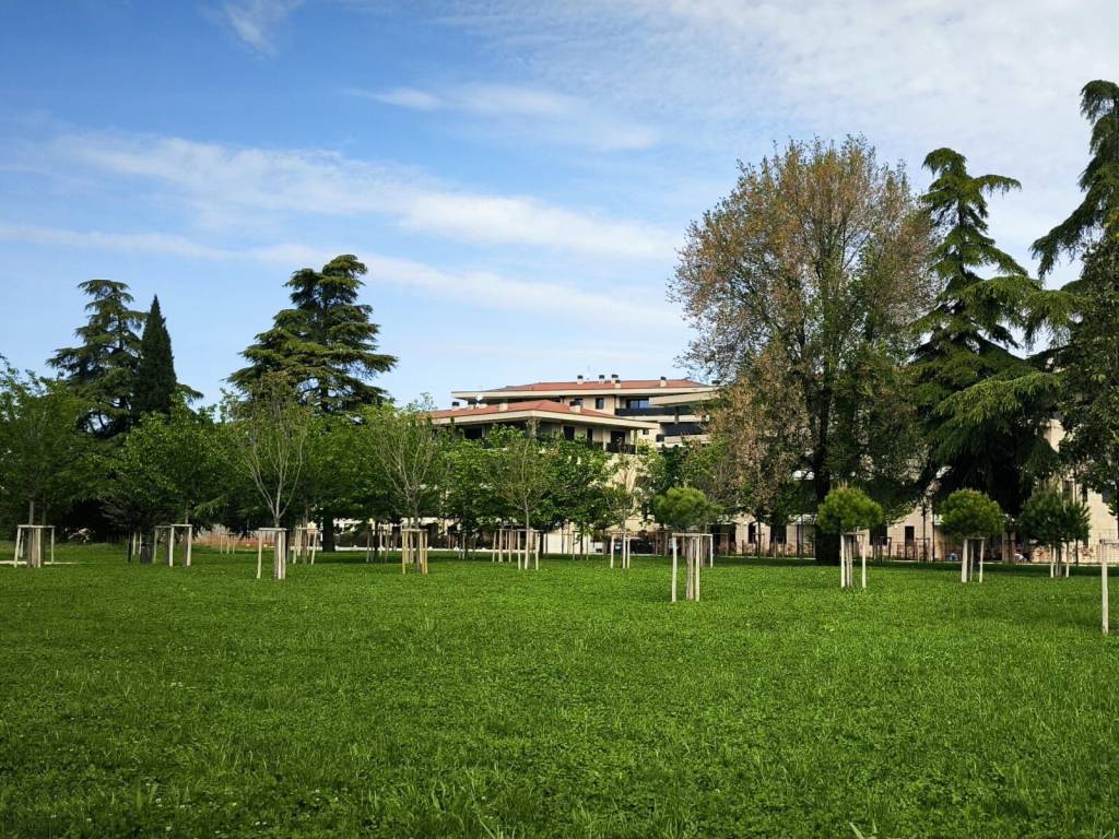 Attico / mansarda a Verona in Viale Università - Foto 3
