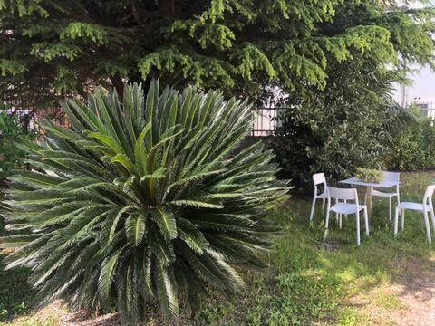 Appartamento a Mira in Via Giovanni Lanza - Foto 2