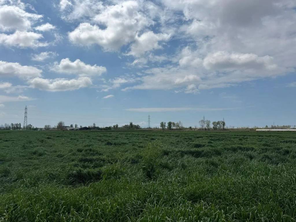 Terreno a Villa literno in Corso Umberto I No Number - Foto 3