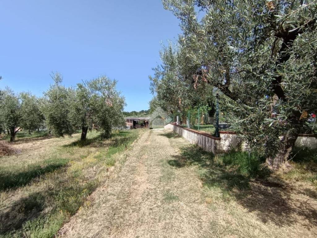 Terreno a Montopoli di sabina in VIA CAPRARECCIA - Foto 4