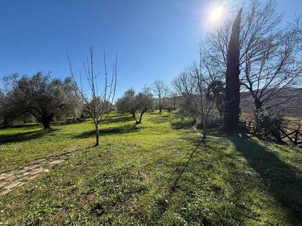 Villa a Manciano in Località La Vecchia No Number - Foto 5