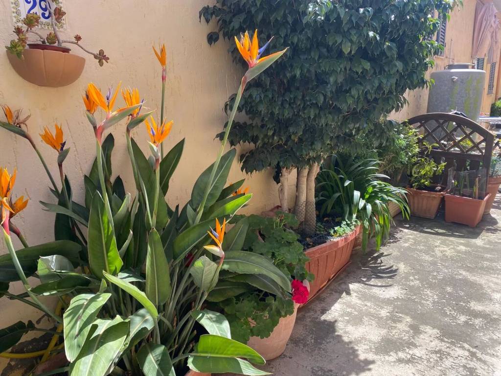 Appartamento a Monte argentario in Centro No Number - Foto 3