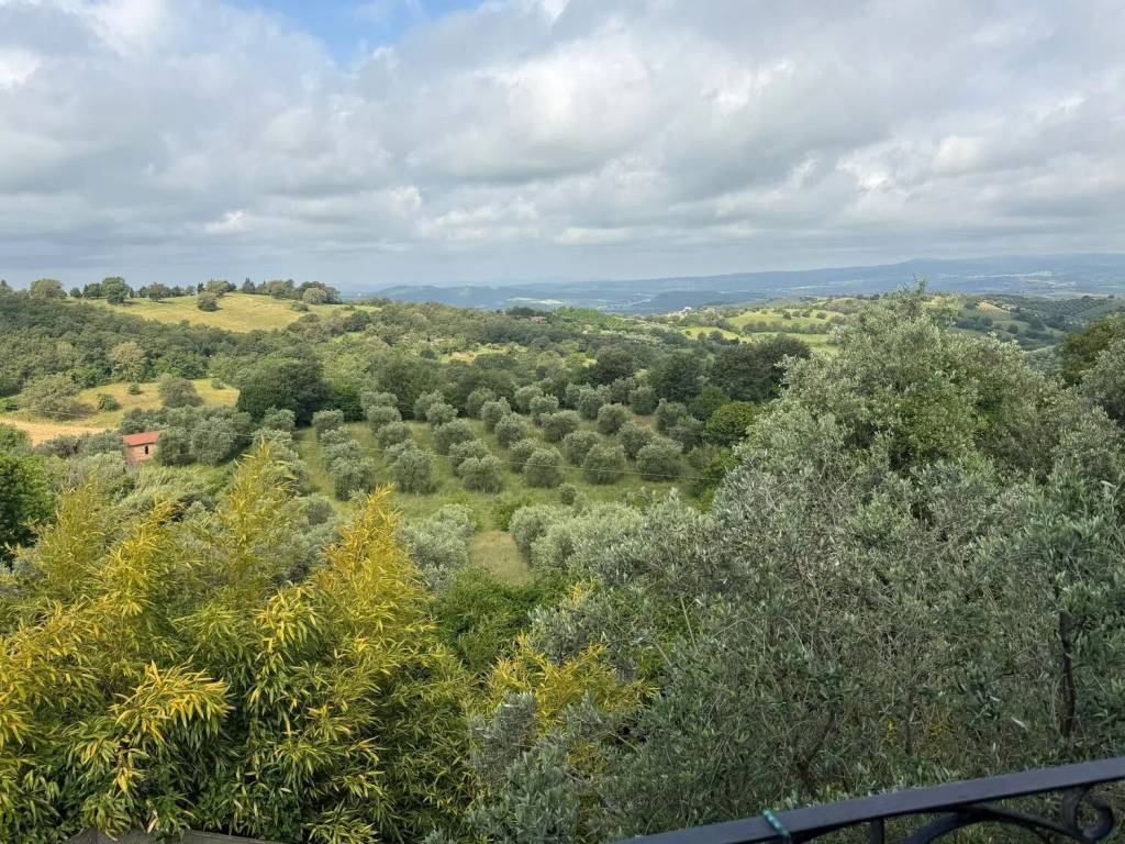 Villa a Manciano in Poderi Montemerano No Number - Foto 2