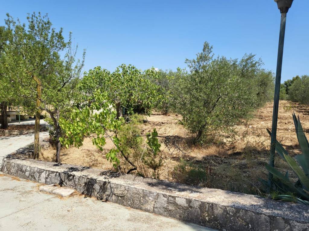 Appartamento a Andria in Via Castel del Monte - Foto 5