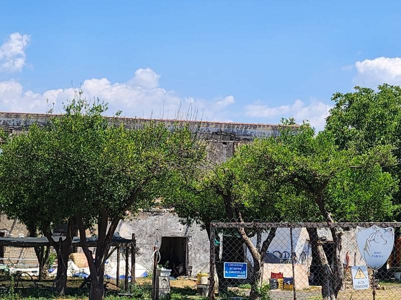 Rustico / casale a Somma vesuviana in Via Costantinopoli - Foto 3
