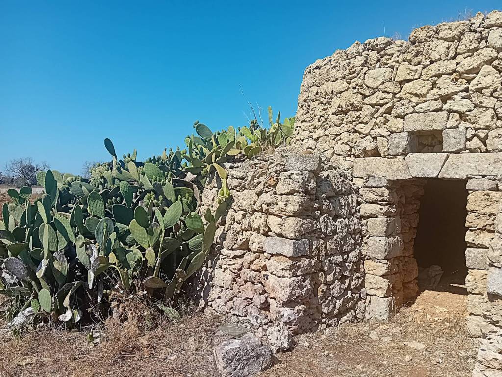 Terreno a Alliste in Via Longa - Foto 3
