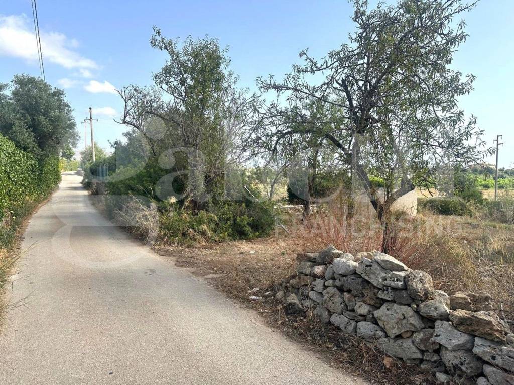 Terreno a Noto in CONTRADA FALCONARA, SNC - Foto 2