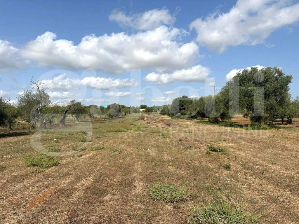 Terreno a Noto in CONTRADA FALCONARA, SNC - Foto 4