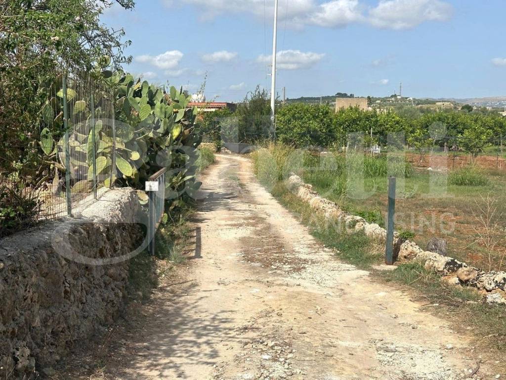 Terreno a Noto in CONTRADA FALCONARA, SNC - Foto 5