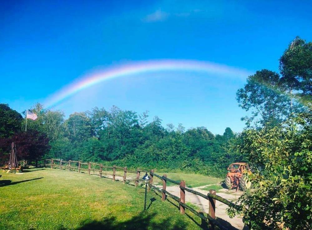 Immobile a Nebbiuno - Foto 4