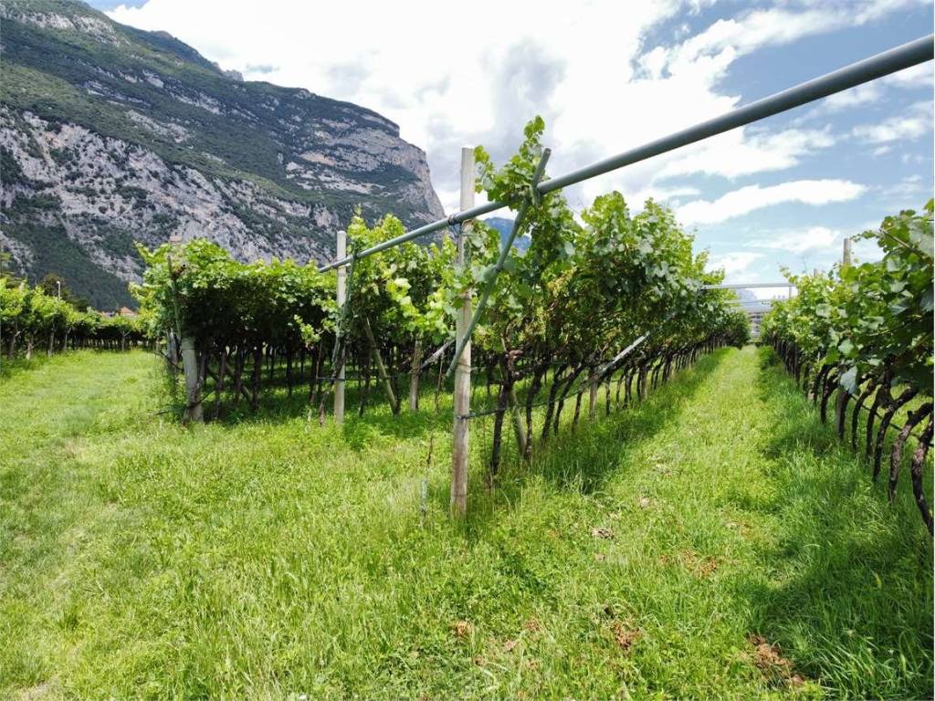 Terreno a Dro - Foto 2