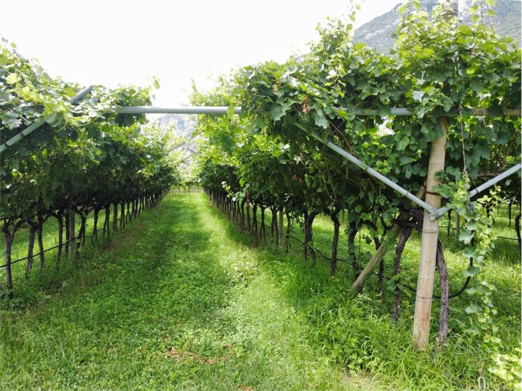 Terreno a Dro - Foto 3