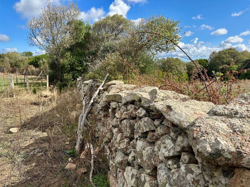 Rustico / casale a Aglientu in SP5 - Foto 5