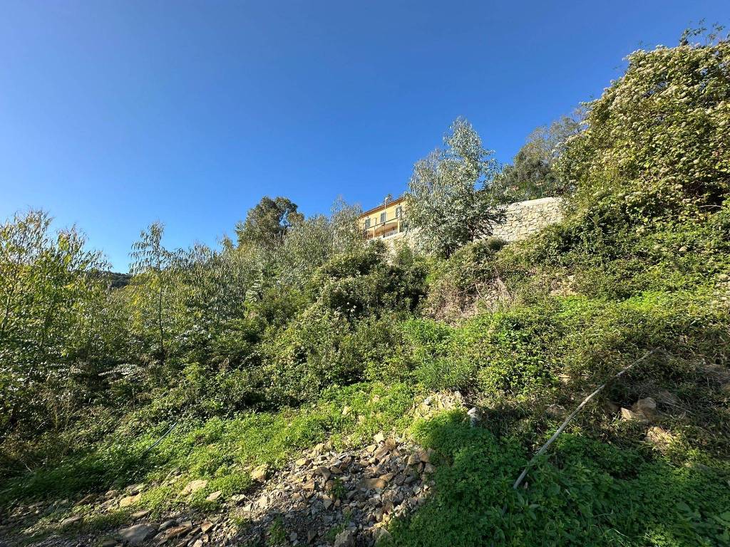 Terreno a Castellaro in Strada Nuvoloni - Foto 3