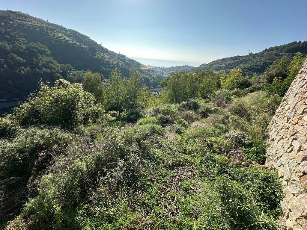 Terreno a Castellaro in Strada Nuvoloni - Foto 4