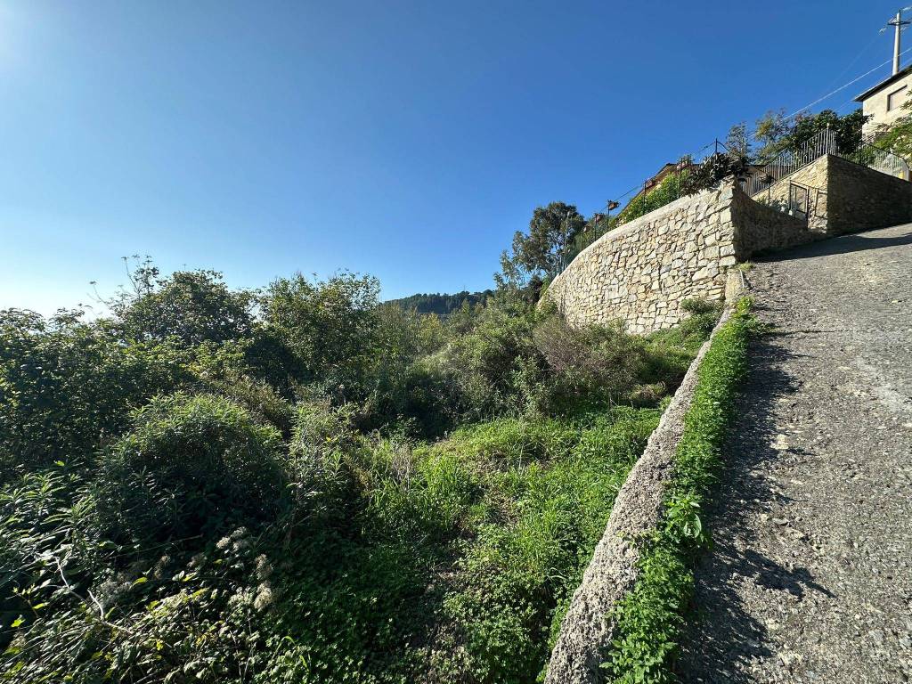 Terreno a Castellaro in Strada Nuvoloni - Foto 5