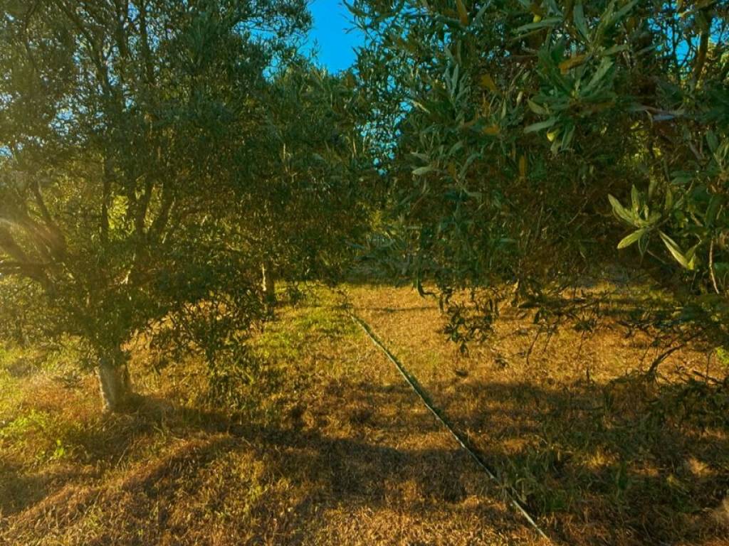 Appartamento a Monte argentario in Località le Cannelle - Foto 2