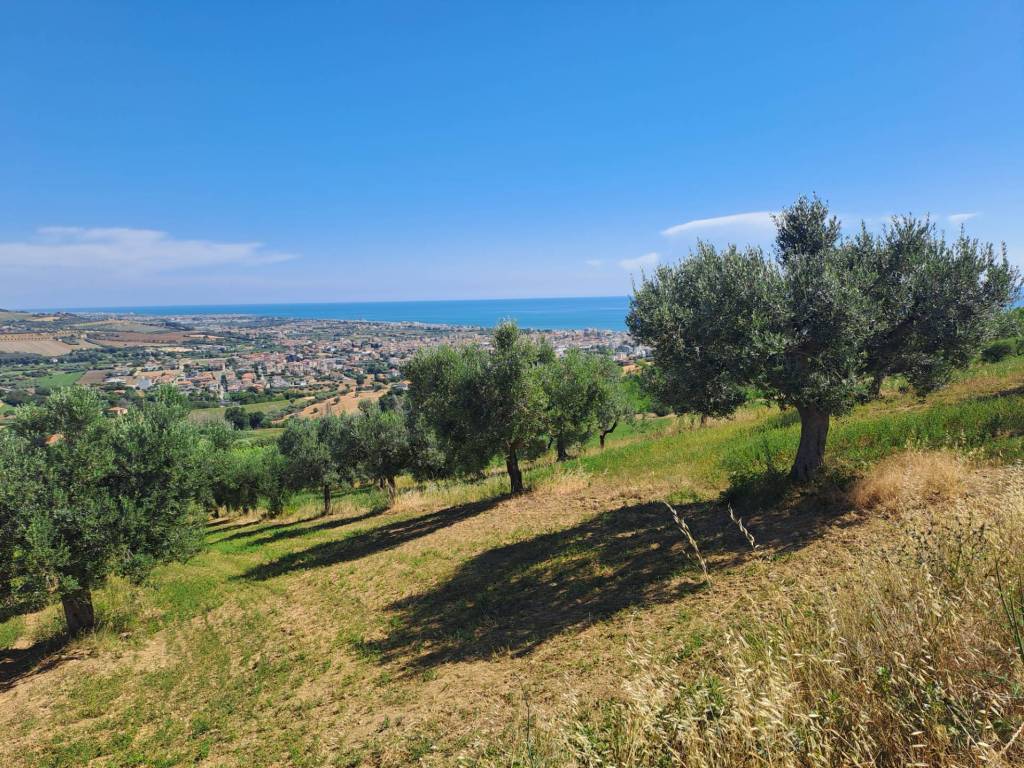 Terreno a Tortoreto in Via Sant'Angelo, 2 - Foto 3