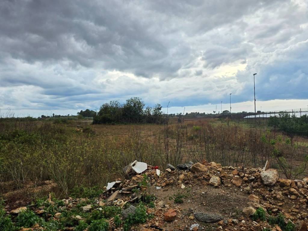 Terreno a Galatone in Strada Vicinale Callarara - Foto 2
