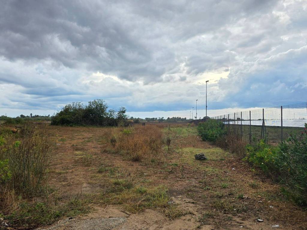 Terreno a Galatone in Strada Vicinale Callarara - Foto 3