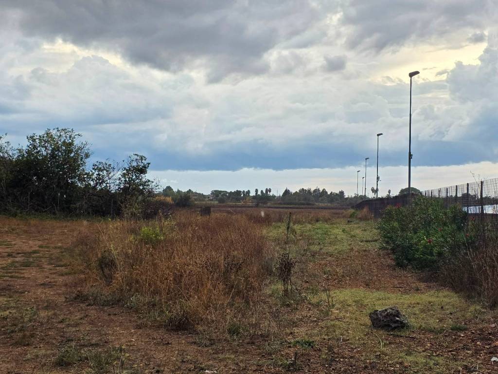 Terreno a Galatone in Strada Vicinale Callarara - Foto 4