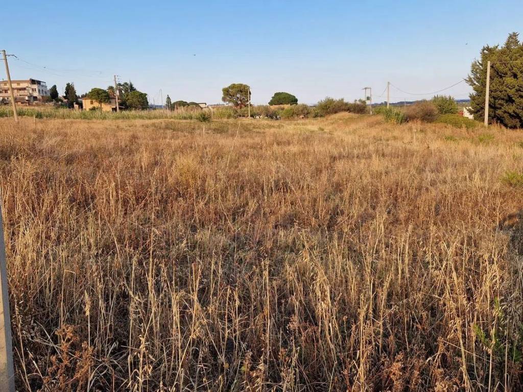 Terreno a Sellia marina - Foto 2