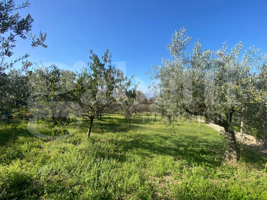 Terreno a Assisi in VIA DELLE GINESTRE, 1 - Foto 3