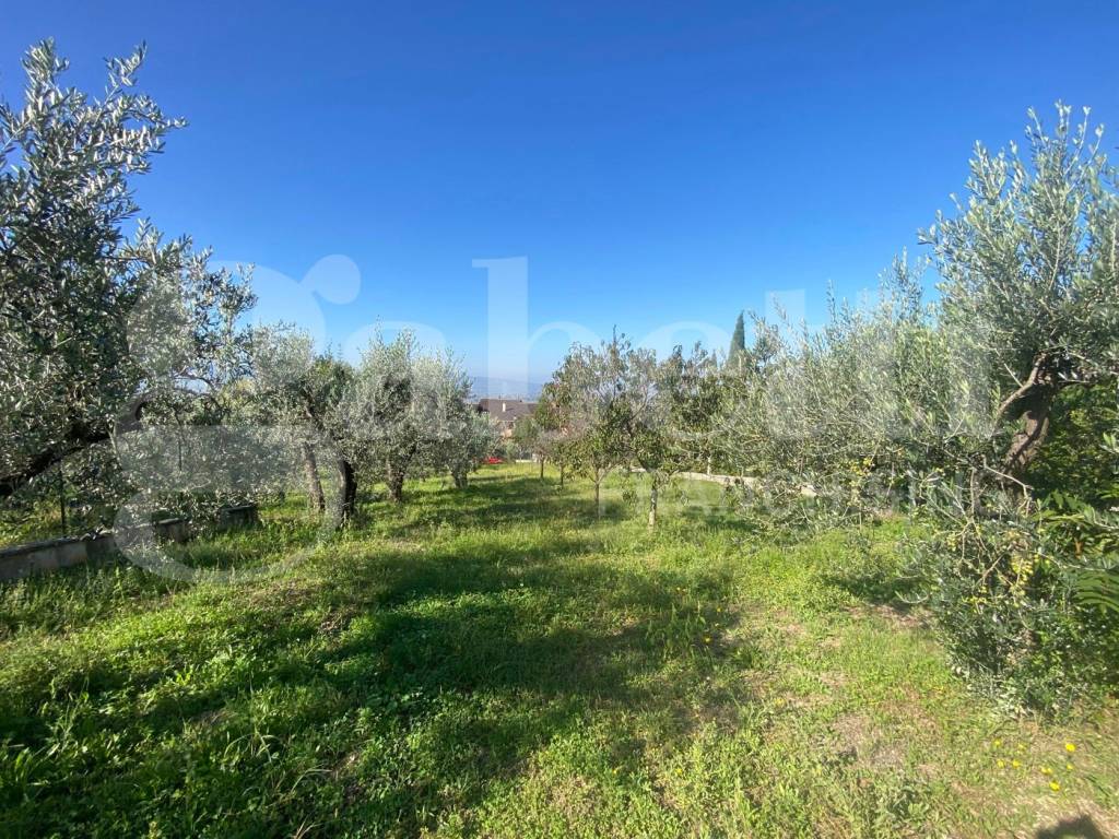 Terreno a Assisi in VIA DELLE GINESTRE, 1 - Foto 4