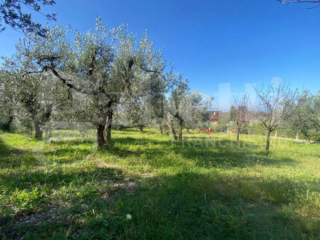Terreno a Assisi in VIA DELLE GINESTRE, 1 - Foto 5