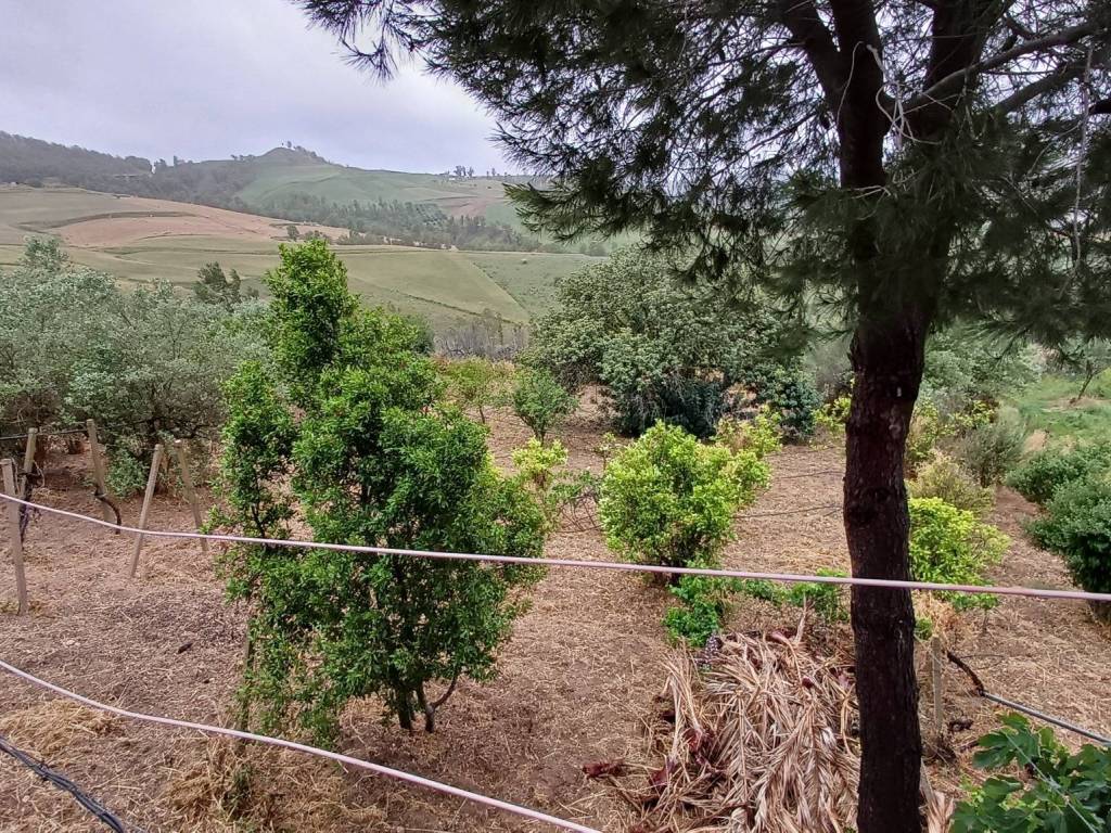 Rustico / casale a Caltagirone in Strada C - Foto 2