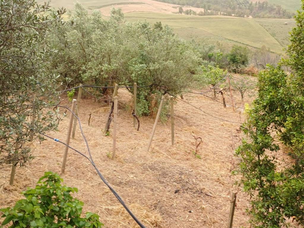 Rustico / casale a Caltagirone in Strada C - Foto 3