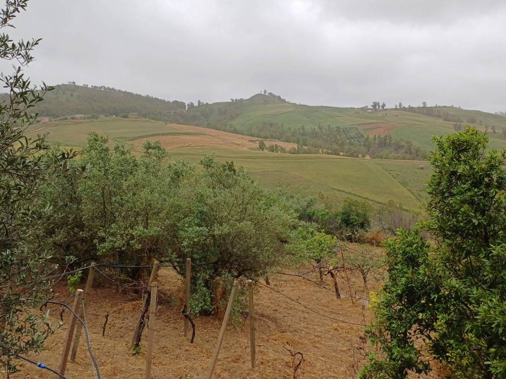 Rustico / casale a Caltagirone in Strada C - Foto 5