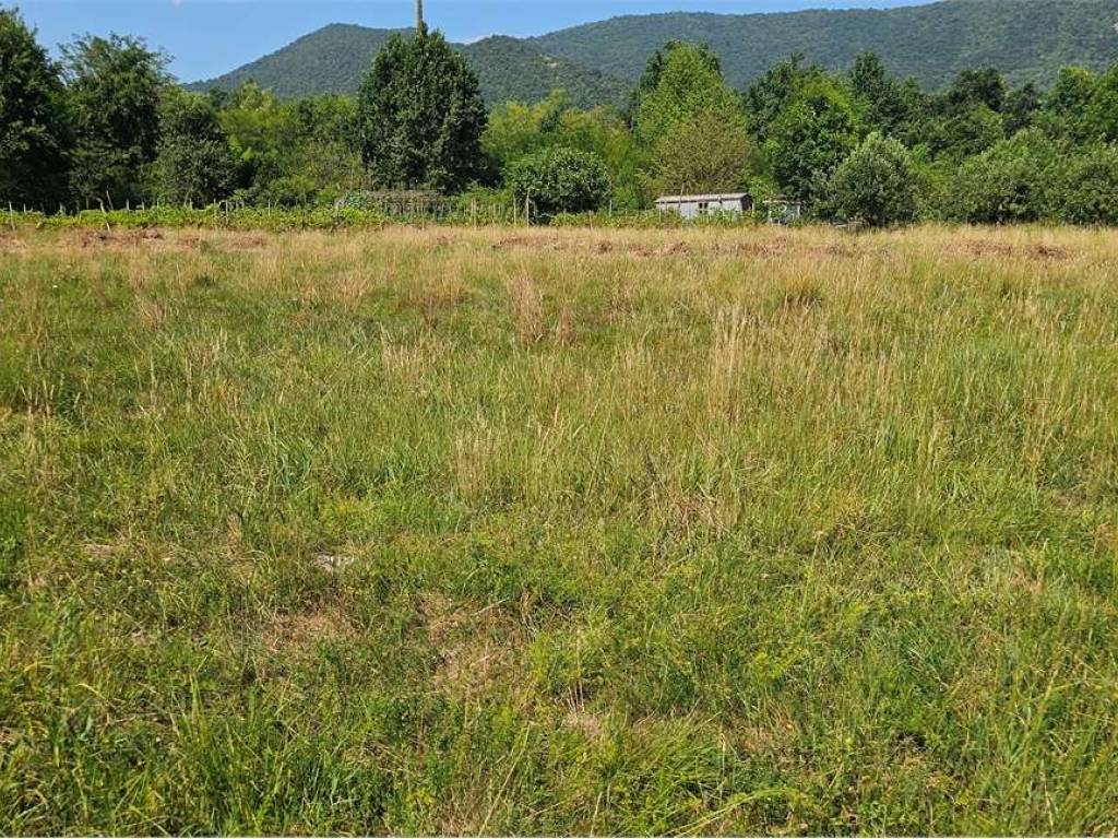 Terreno a Piossasco - Foto 3