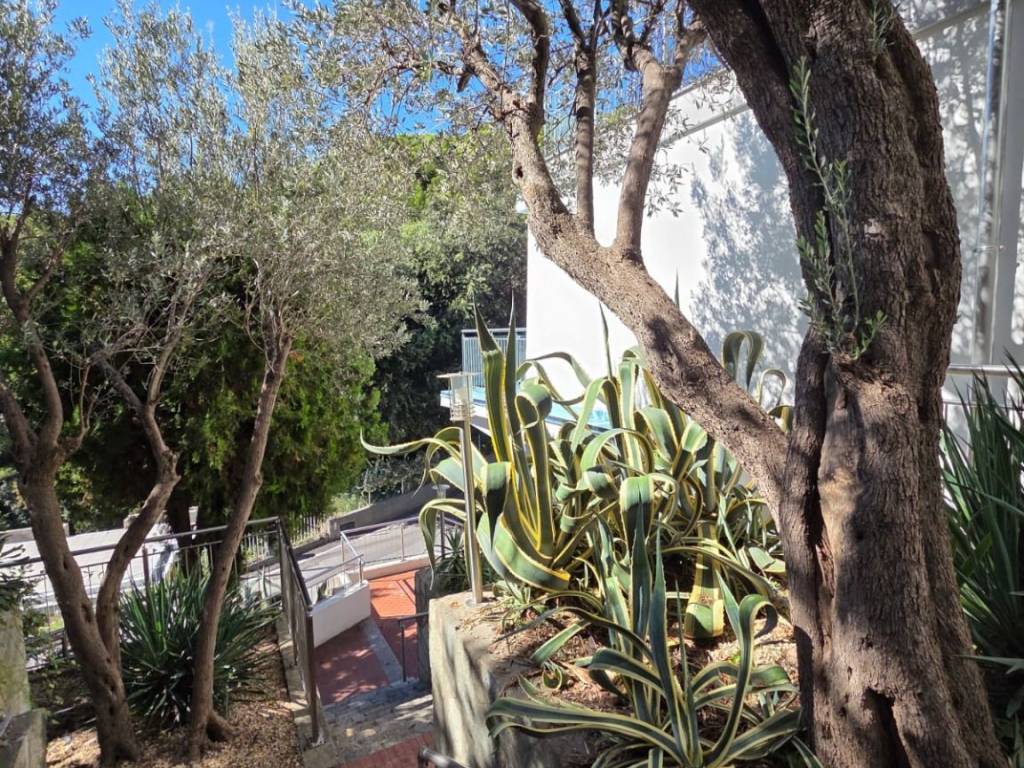 Appartamento a Bergeggi - Foto 5