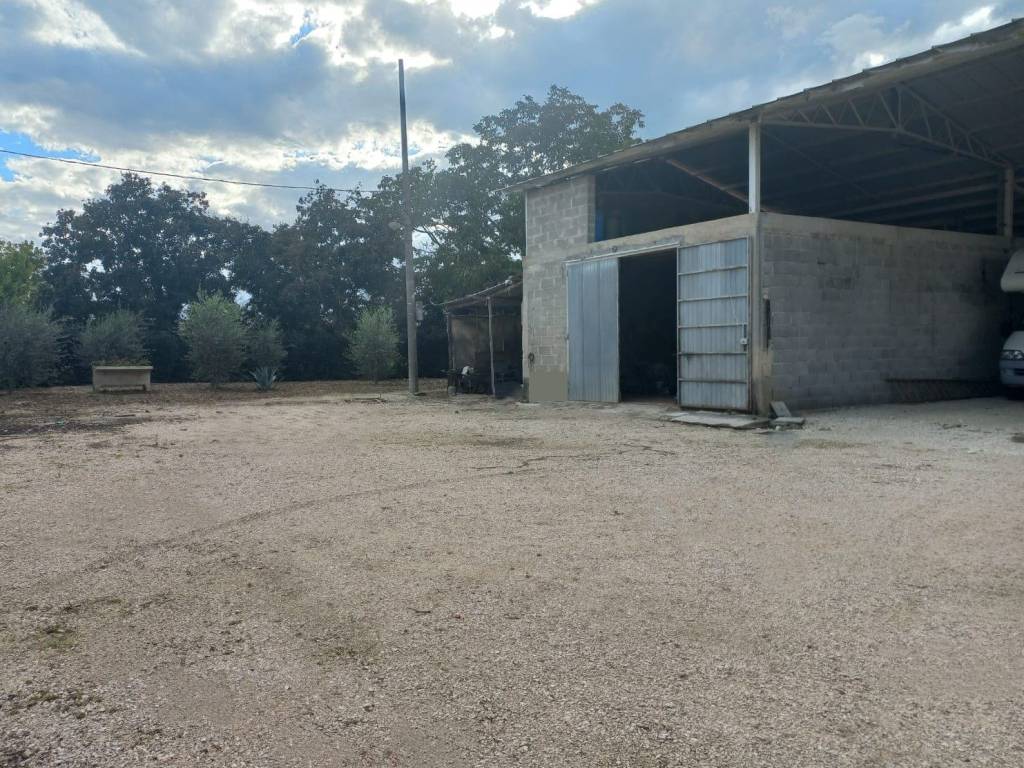 Terreno a Trevi in Località Picciche - Foto 3