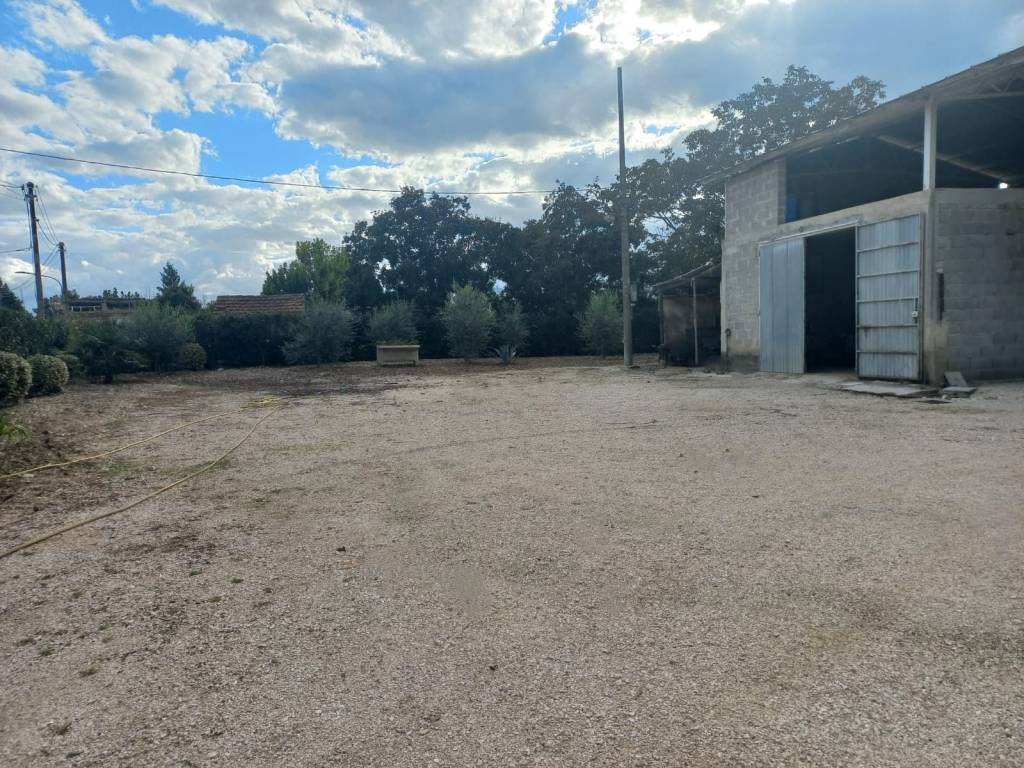 Terreno a Trevi in Località Picciche - Foto 4