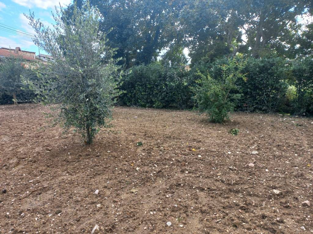 Terreno a Trevi in Località Picciche - Foto 5