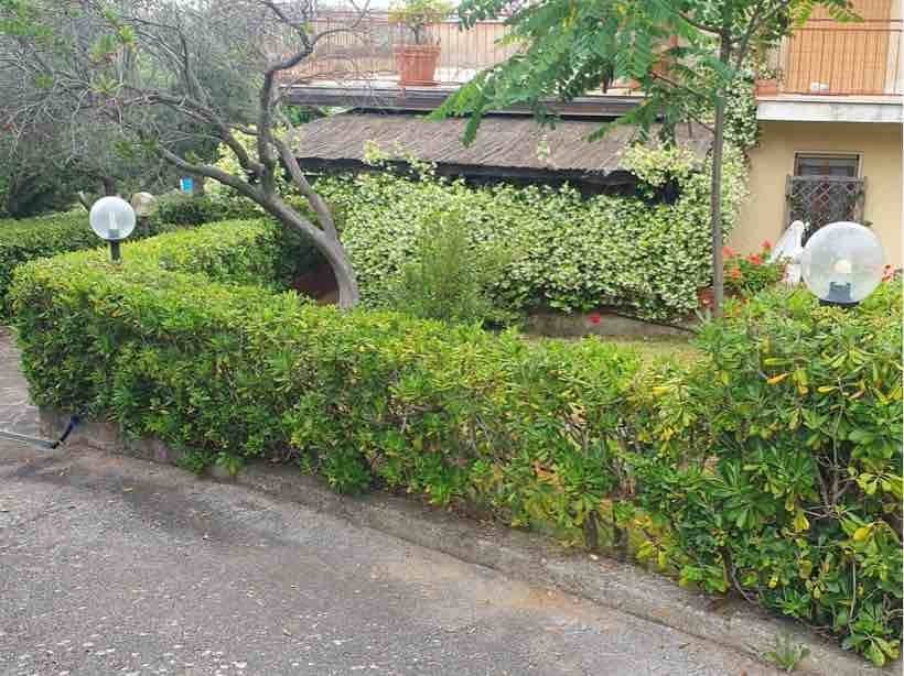 Appartamento a Magliano in toscana - Foto 4