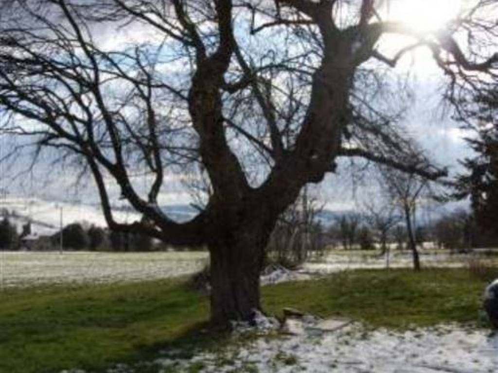 Rustico / casale a Falerone - Foto 5