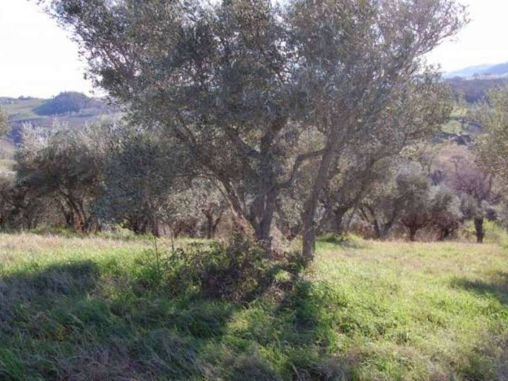 Rustico / casale a San ginesio - Foto 3