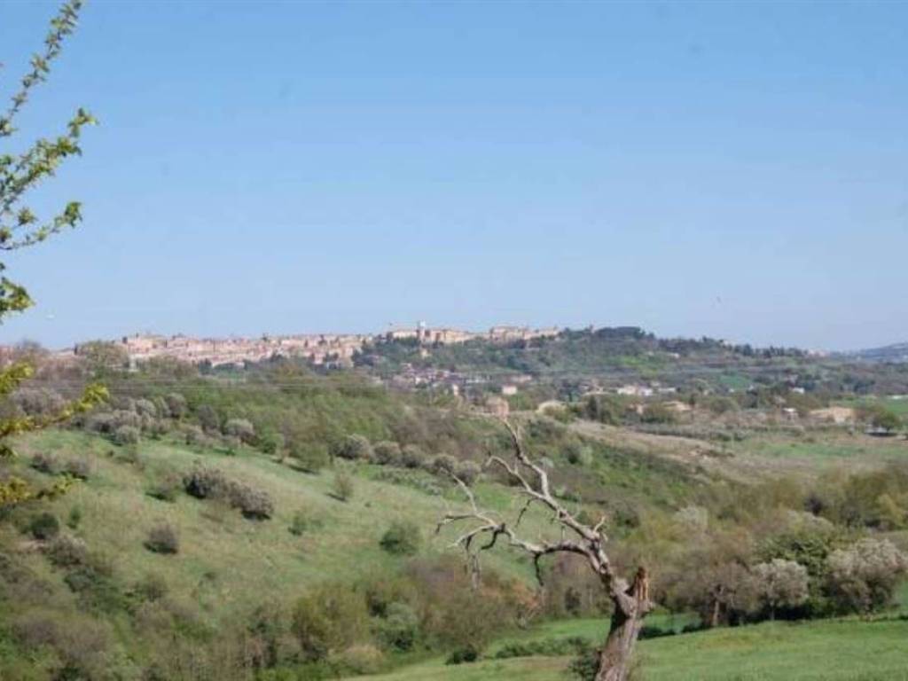 Rustico / casale a Treia - Foto 3