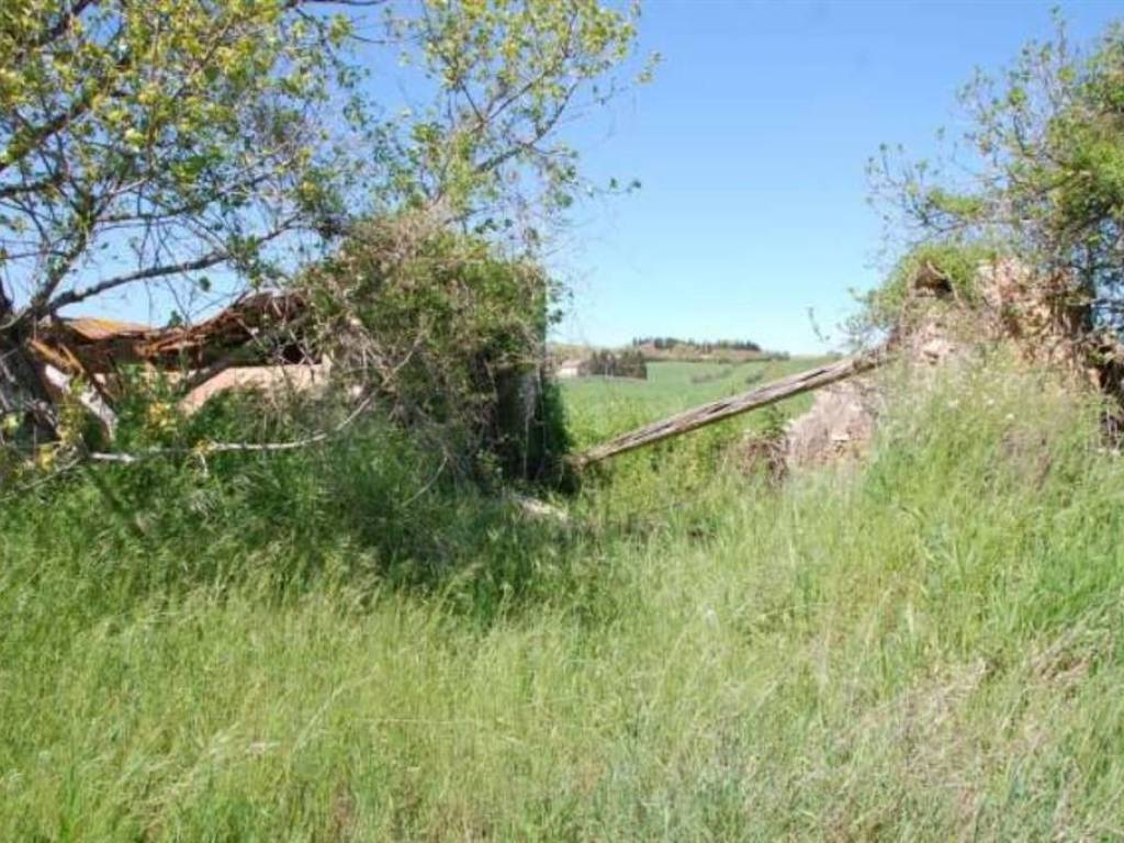 Rustico / casale a Treia - Foto 4