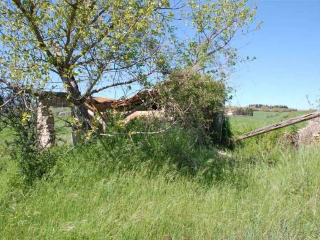 Rustico / casale a Treia - Foto 5