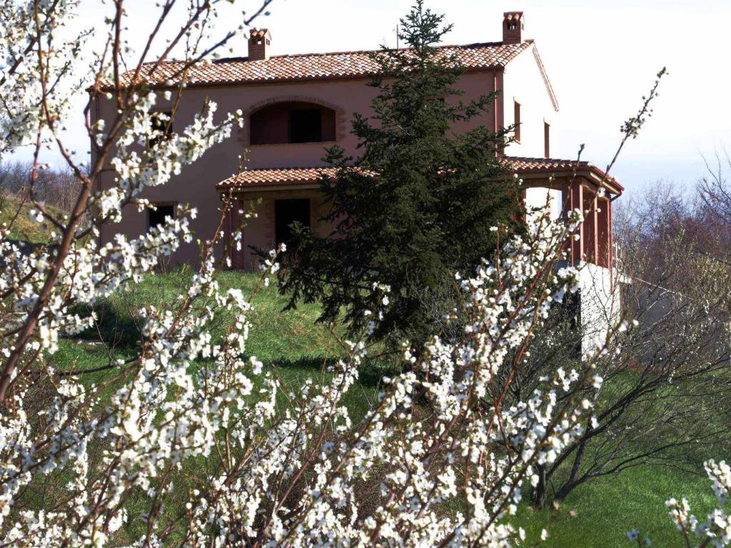 Rustico / casale a Tolentino - Foto 2