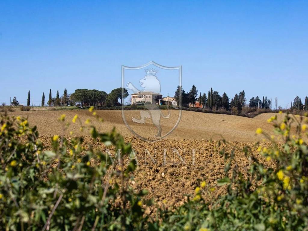 Rustico / casale a Buonconvento - Foto 5