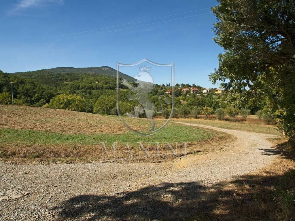 Rustico / casale a San casciano dei bagni in Via Xxv Aprile - Foto 5