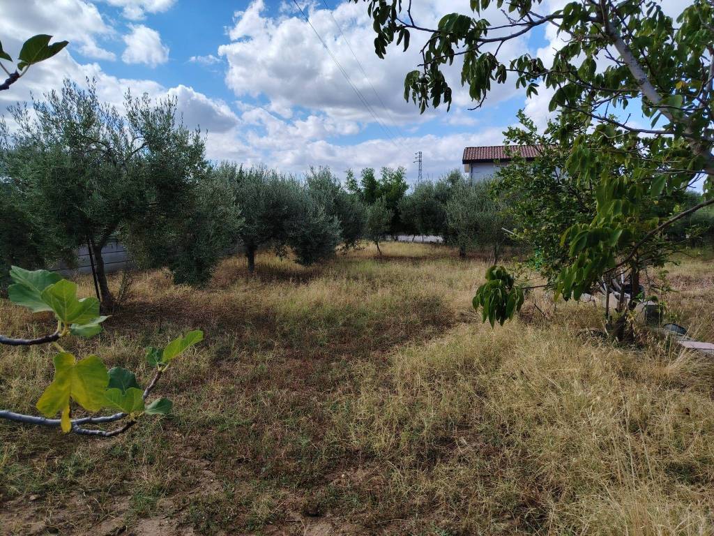 Terreno a San filippo del mela in Corso Giuseppe Garibaldi - Foto 4