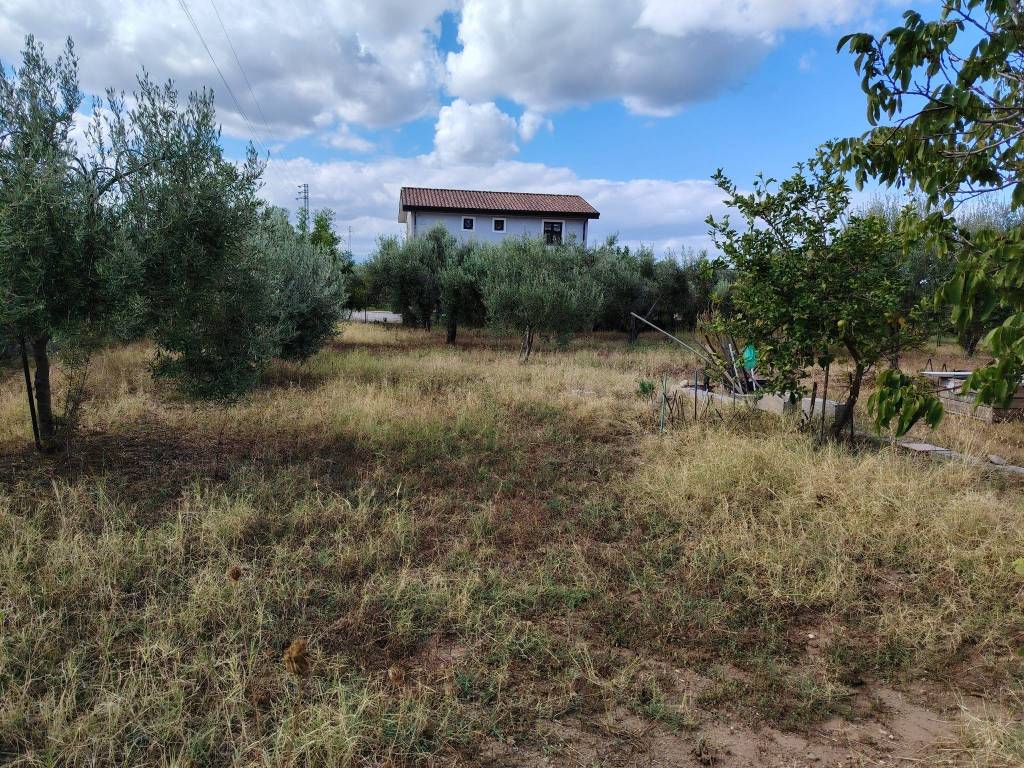 Terreno a San filippo del mela in Corso Giuseppe Garibaldi - Foto 5