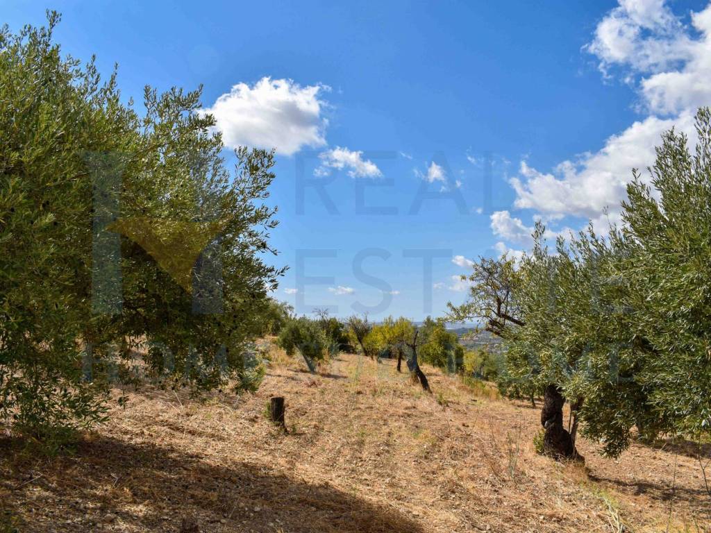 Rustico / casale a Noto in Via Tommaso Fazello, 228 - Foto 4